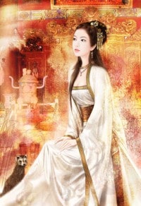 《华丽人生》
