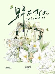 《野太阳》
